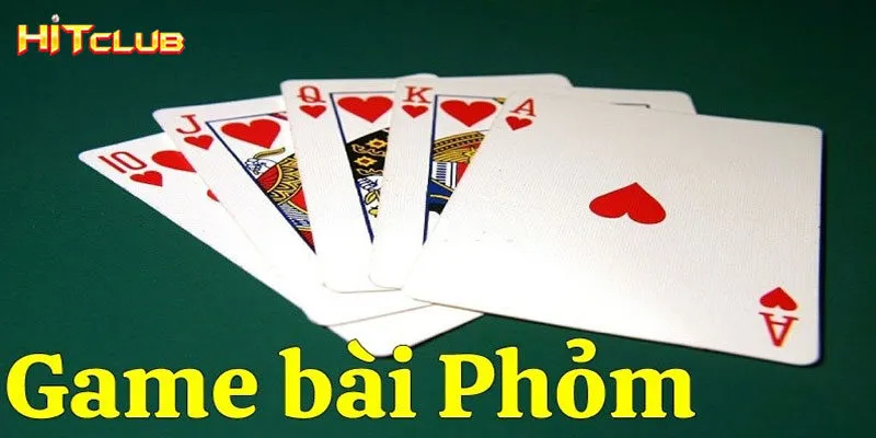 Các thuật ngữ thường gặp