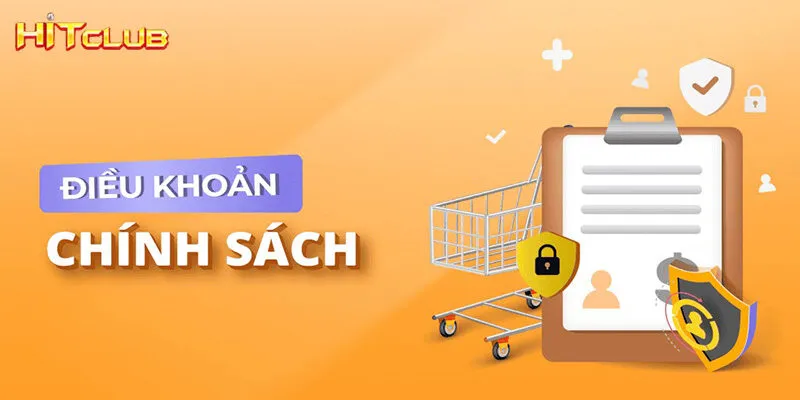 Chi tiết cho người mới về chính sách điều khoản